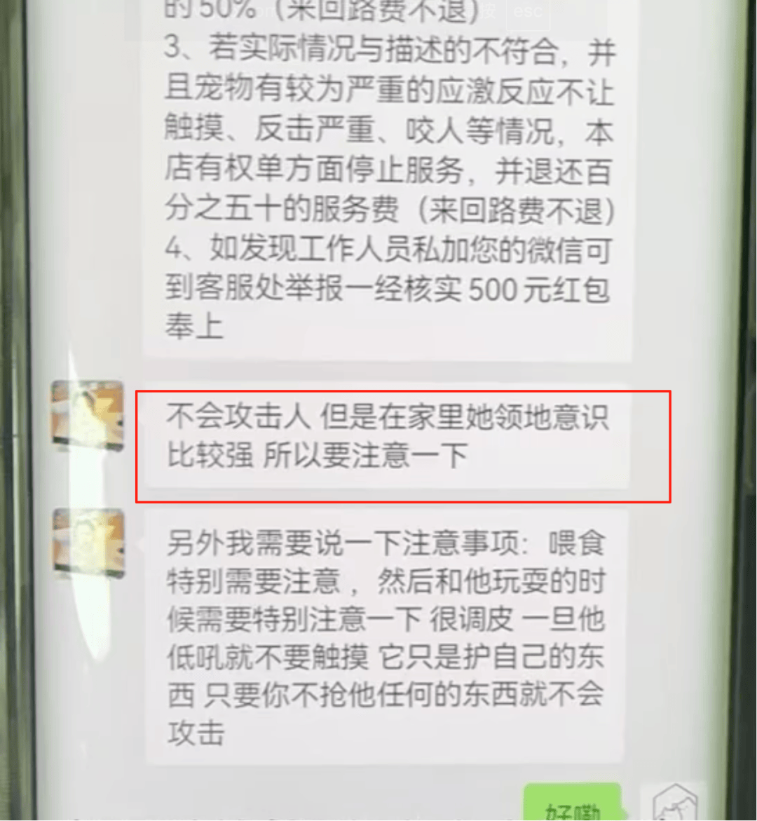 女子上门代喂，被100多斤阿拉斯加犬咬伤遭毁容，狗主人称不担全责