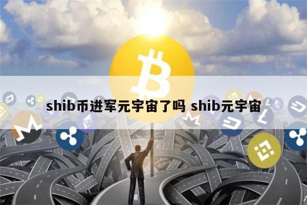 SHIB币最新消息(shib币最新消息称)