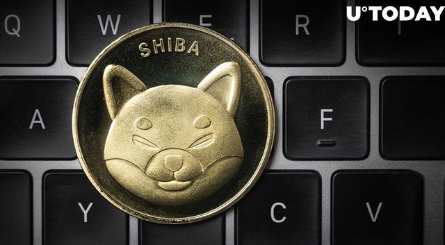 SHIB最新消息(shib最新消息2024)