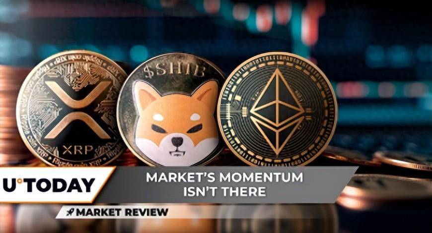 SHIB最新消息(shib最新消息2024)