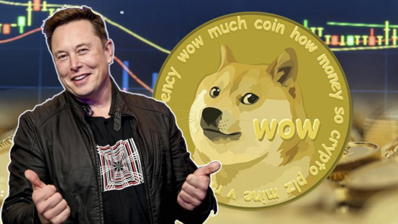 DOGE币行情(dog币最新价格)